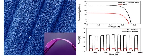 柔性二氧化钛纳米线布及其在纳米器件上的应用新进展