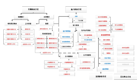 屏幕快照 2018-11-28 18.24.27